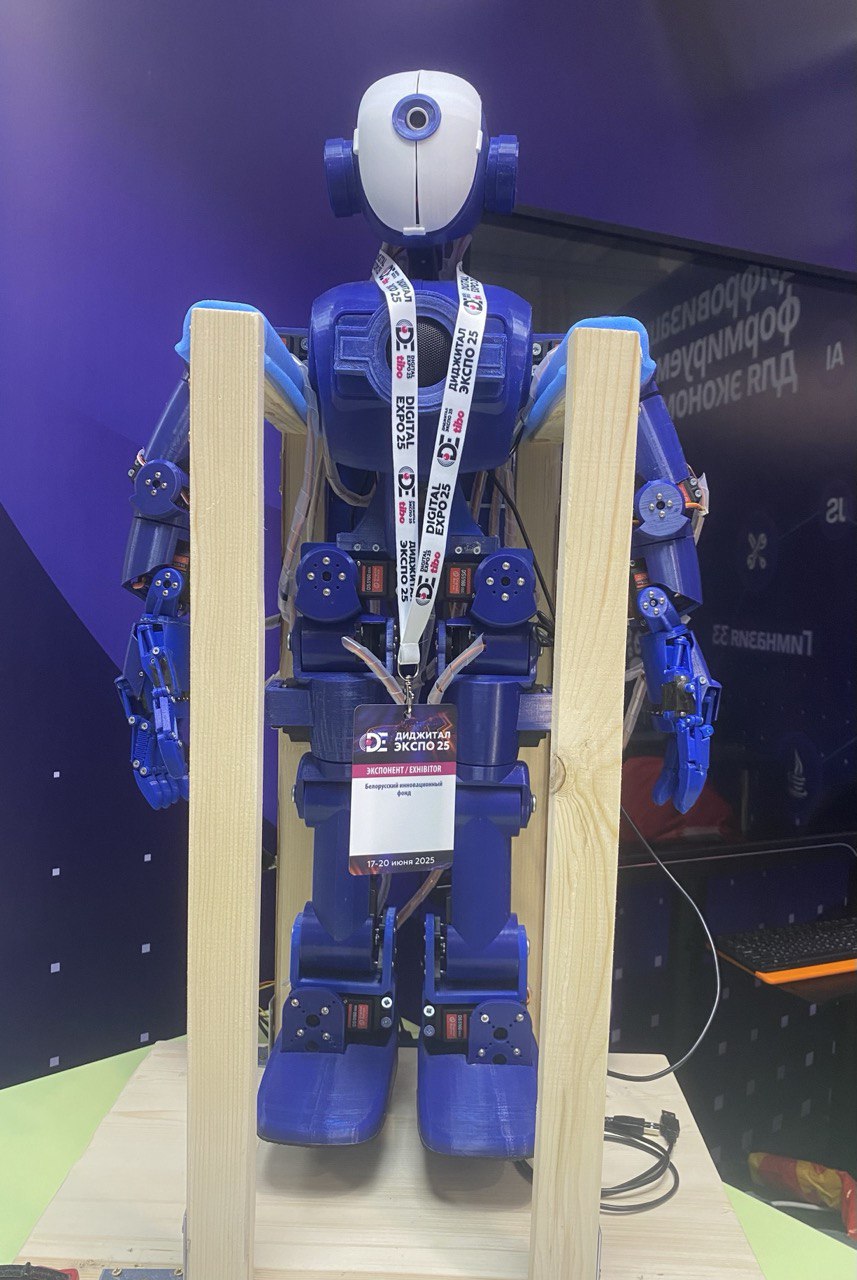Tibo 2025 1