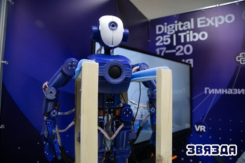 Tibo 2025 3