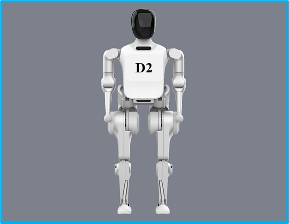 Humanoid D2